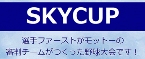 SKYCUP公式サイト