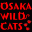 大阪WILDCATS